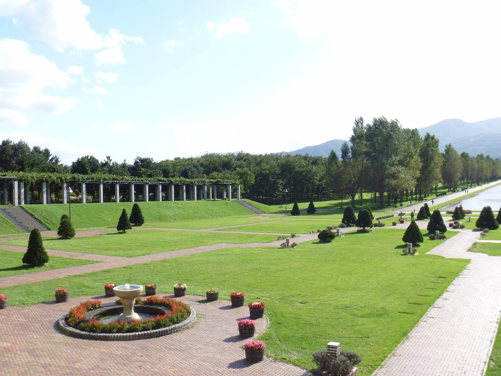 公園7