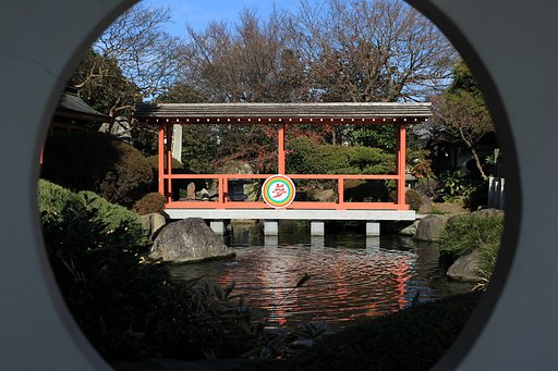 夢