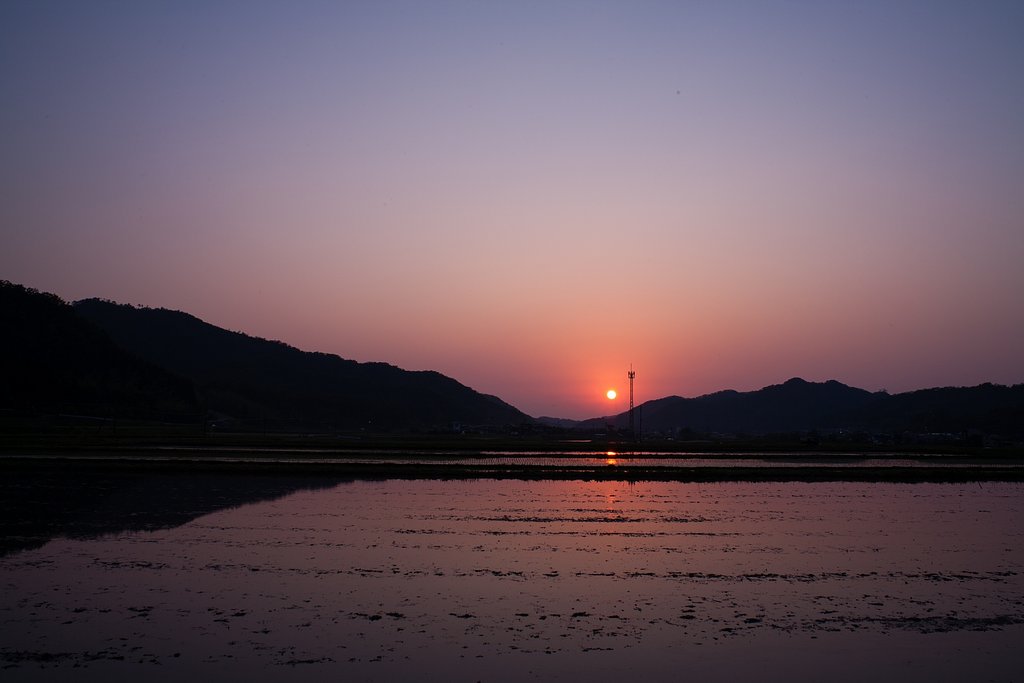 雲ひとつ無い夕焼け!