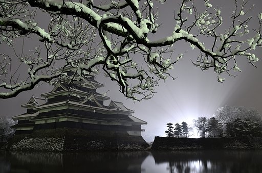 堀辺に咲く