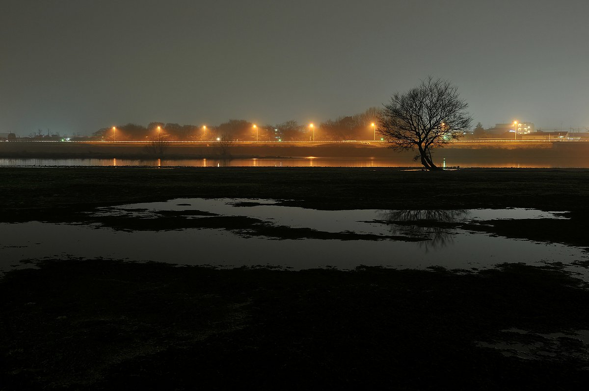 雨上がりの夜明け
