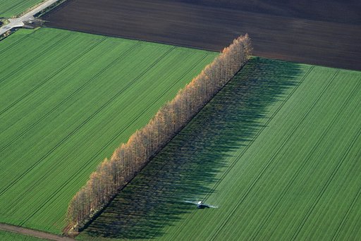 Shadows...