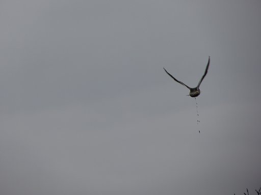 空爆