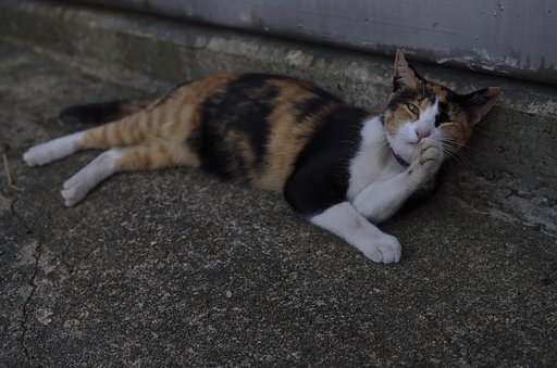 うーさん