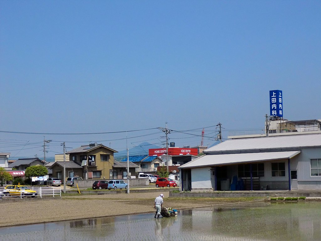 田植え