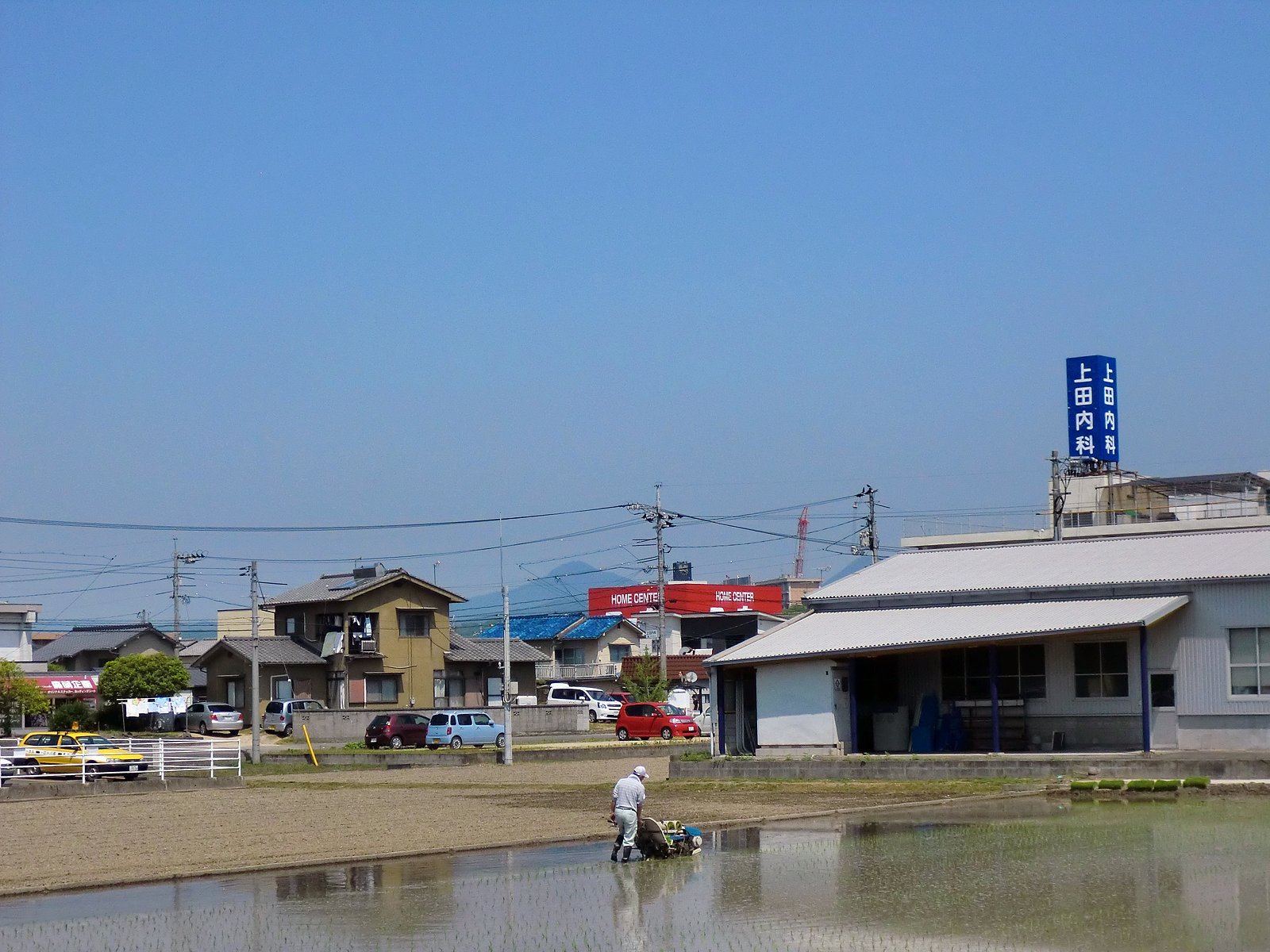 田植え