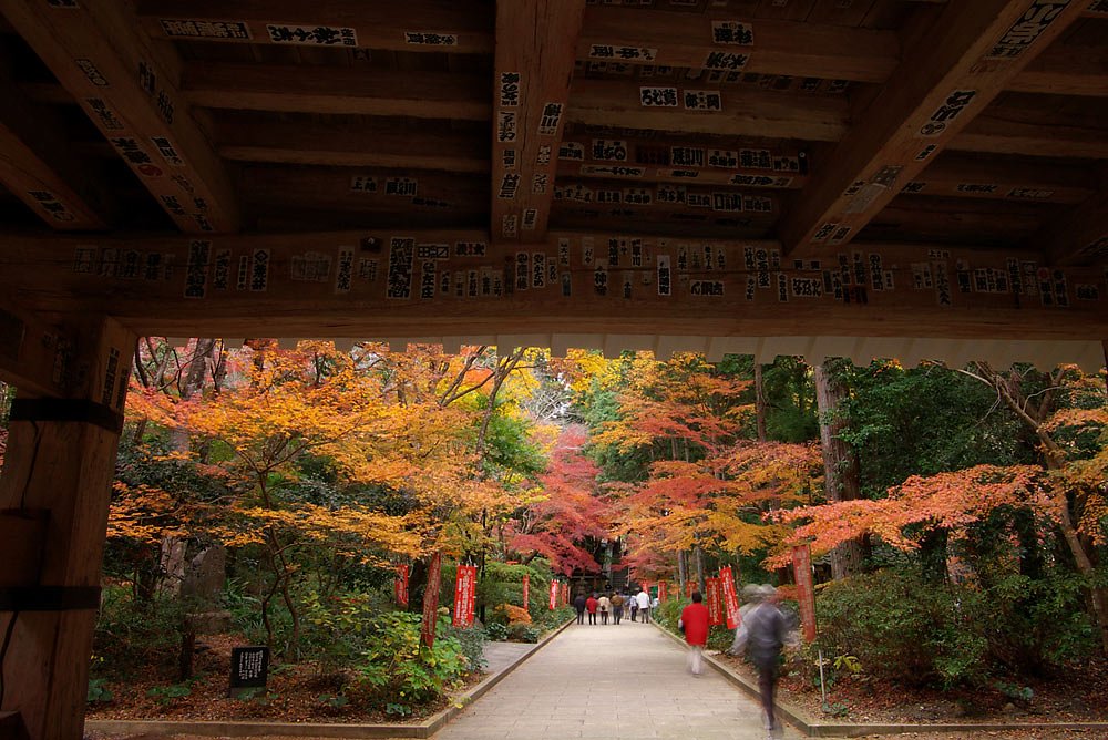 油山寺山門より