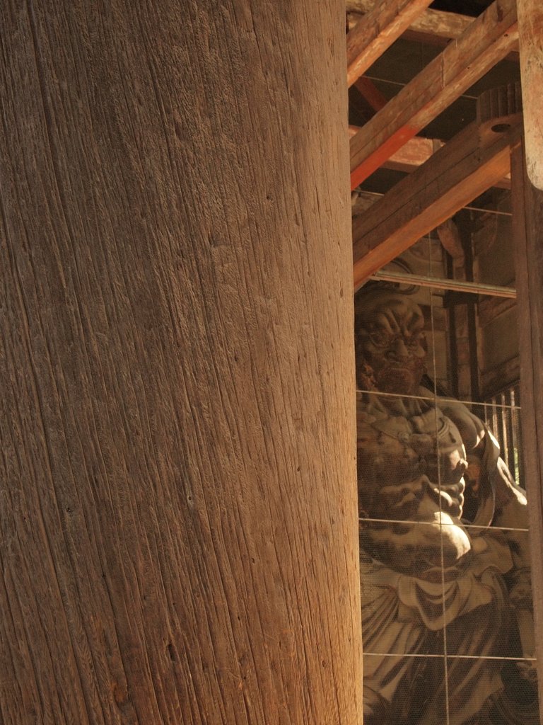 【日本】木を生かす