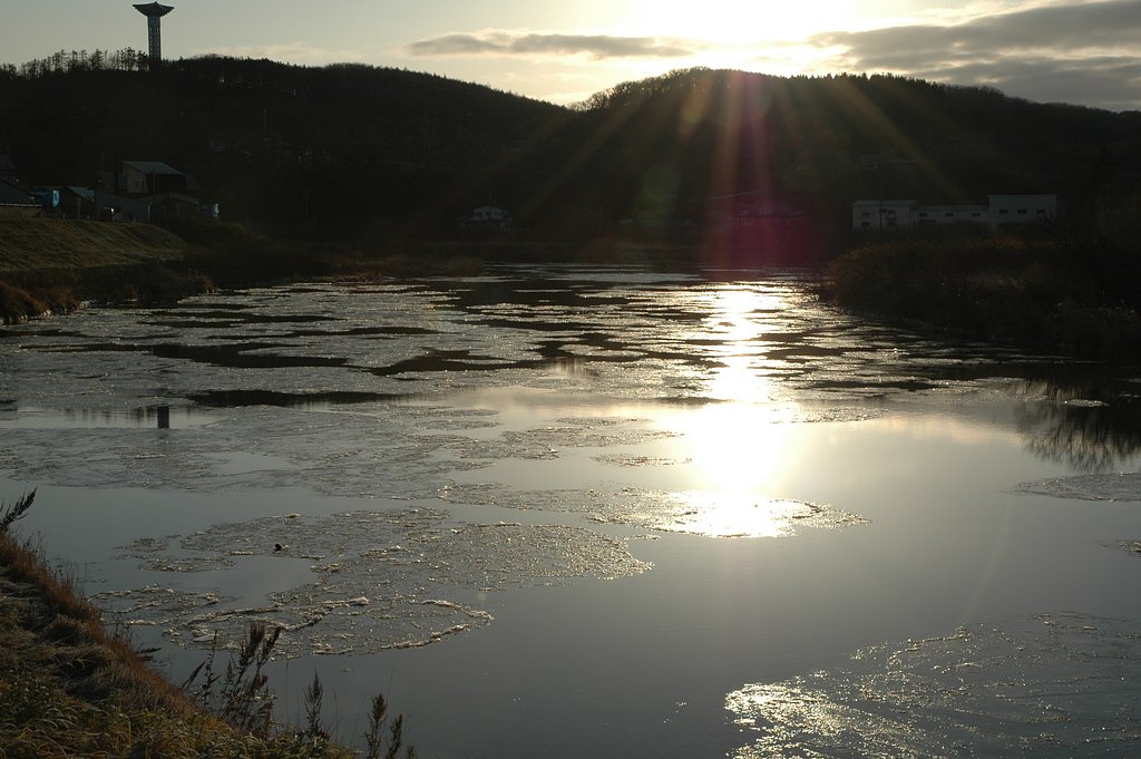川の薄氷り