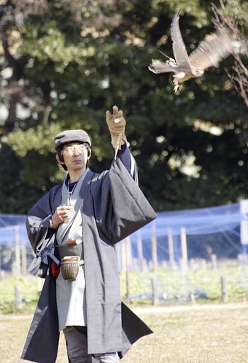 放鷹の術