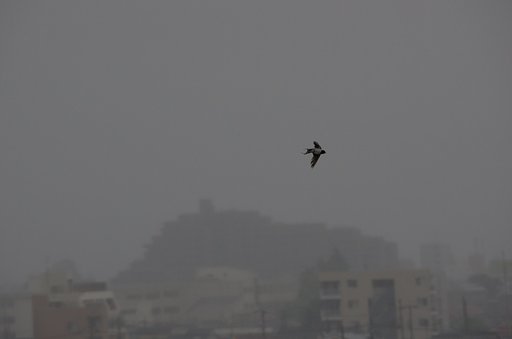 梅雨空の旋回