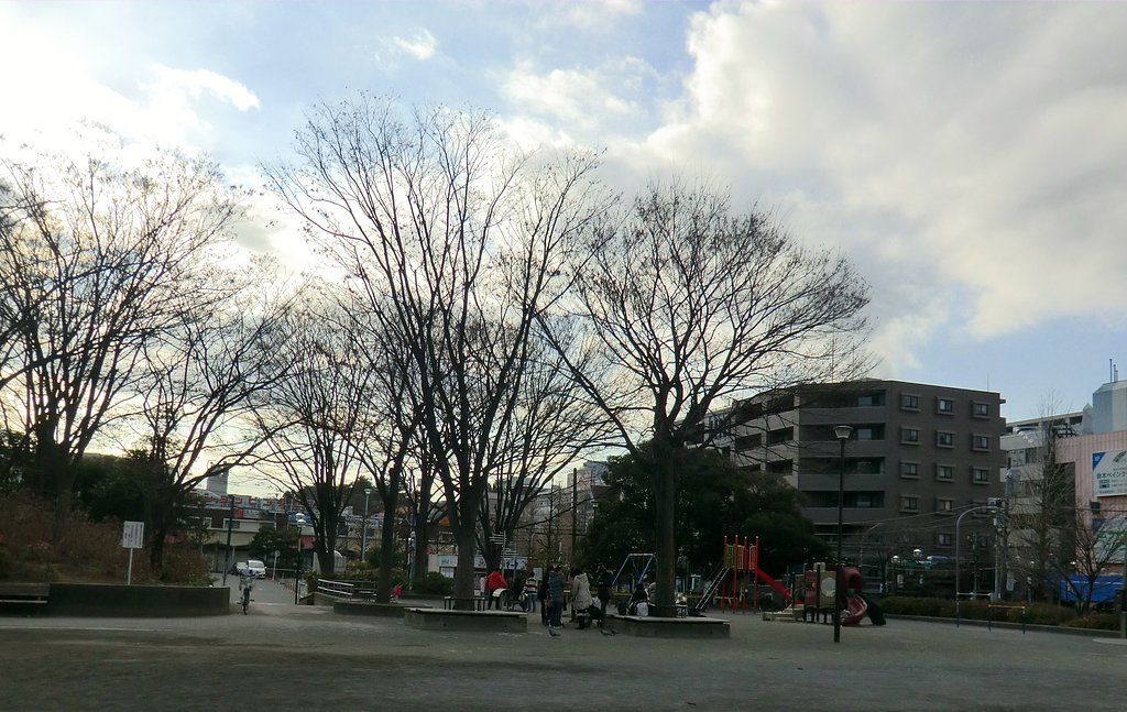 冬木立ち