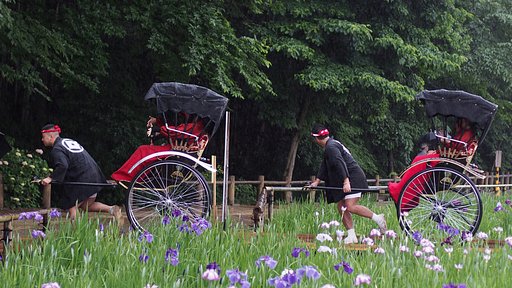 【日本】らしさ〜菖蒲まつりにて〜