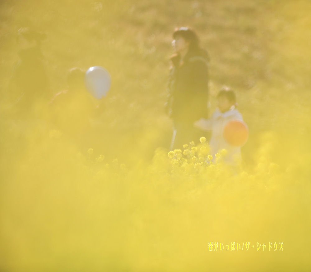 「この一曲」　春がいっぱい