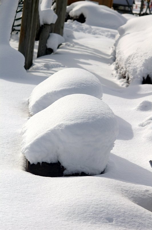 確か、ベンチだったような・・・