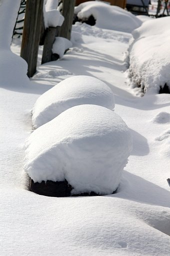 確か、ベンチだったような・・・