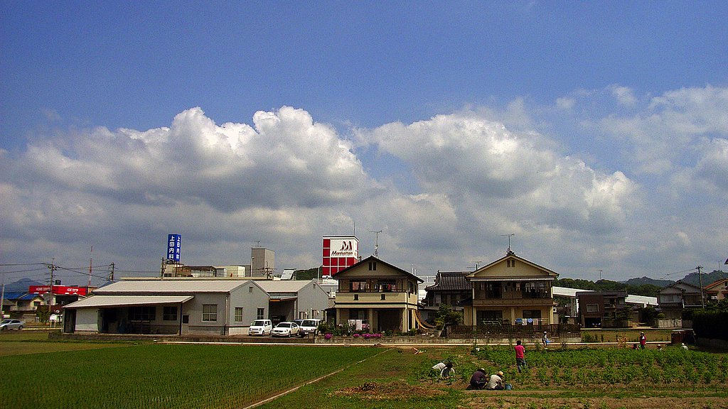 梅雨間の定点