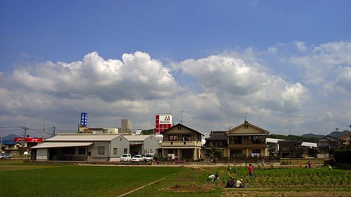 梅雨間の定点