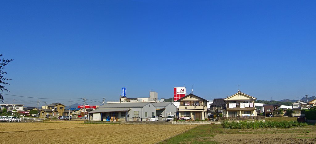 定点快晴パノラマ