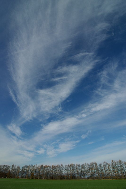 乱れ飛ぶすじ雲の下