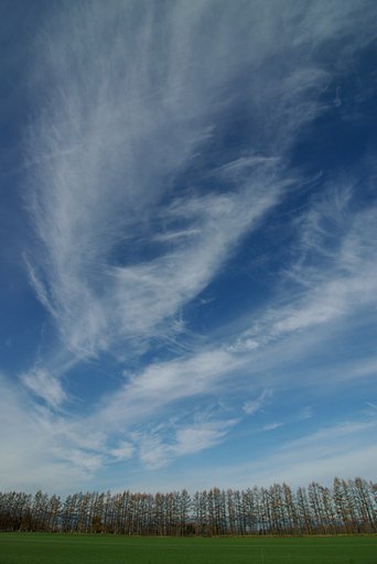 乱れ飛ぶすじ雲の下