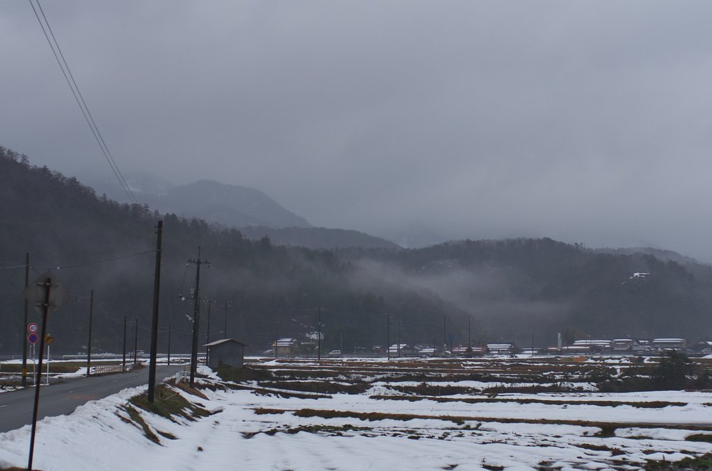 今朝は結構強い雨が・・
