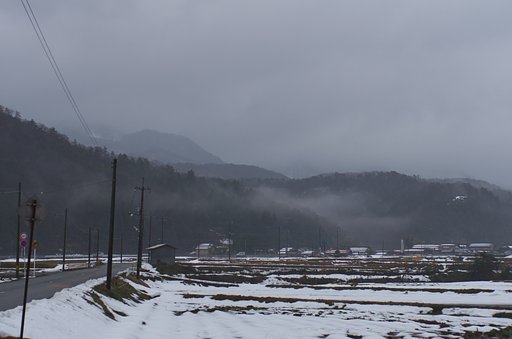 今朝は結構強い雨が・・