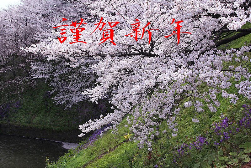 新年のご挨拶