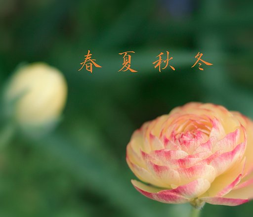 【この一曲】春夏秋冬