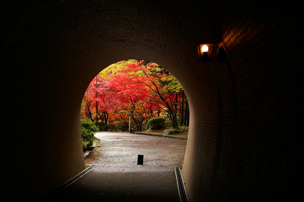 トンネルを抜けるとそこは…。