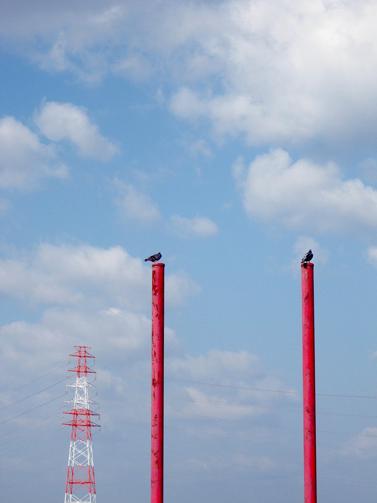 【空】特等席