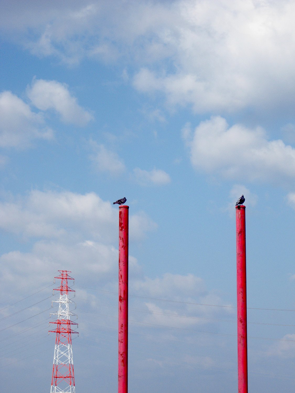 【空】特等席