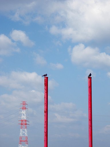 【空】特等席