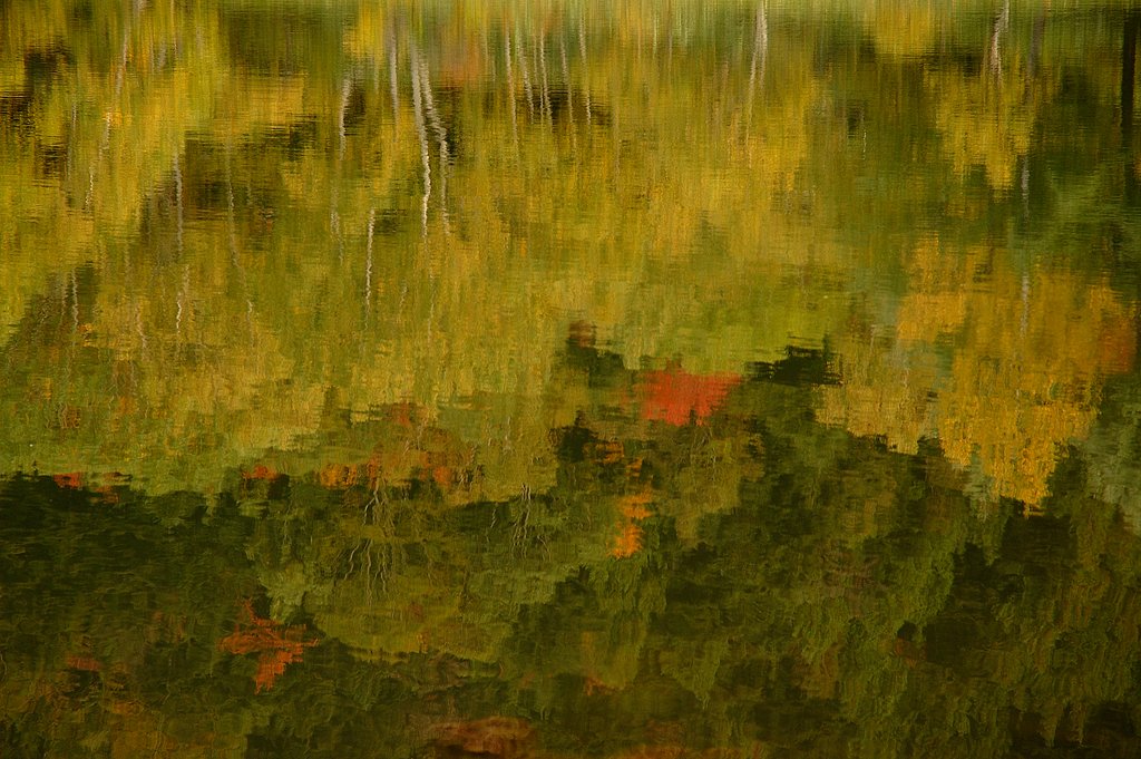 紅葉2　黄葉バージョン