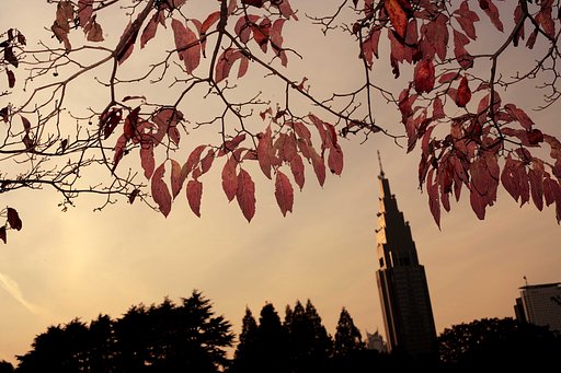 三丁目の夕日