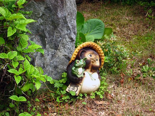 狸と蛙