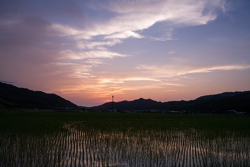 晴れた日の日の入り!