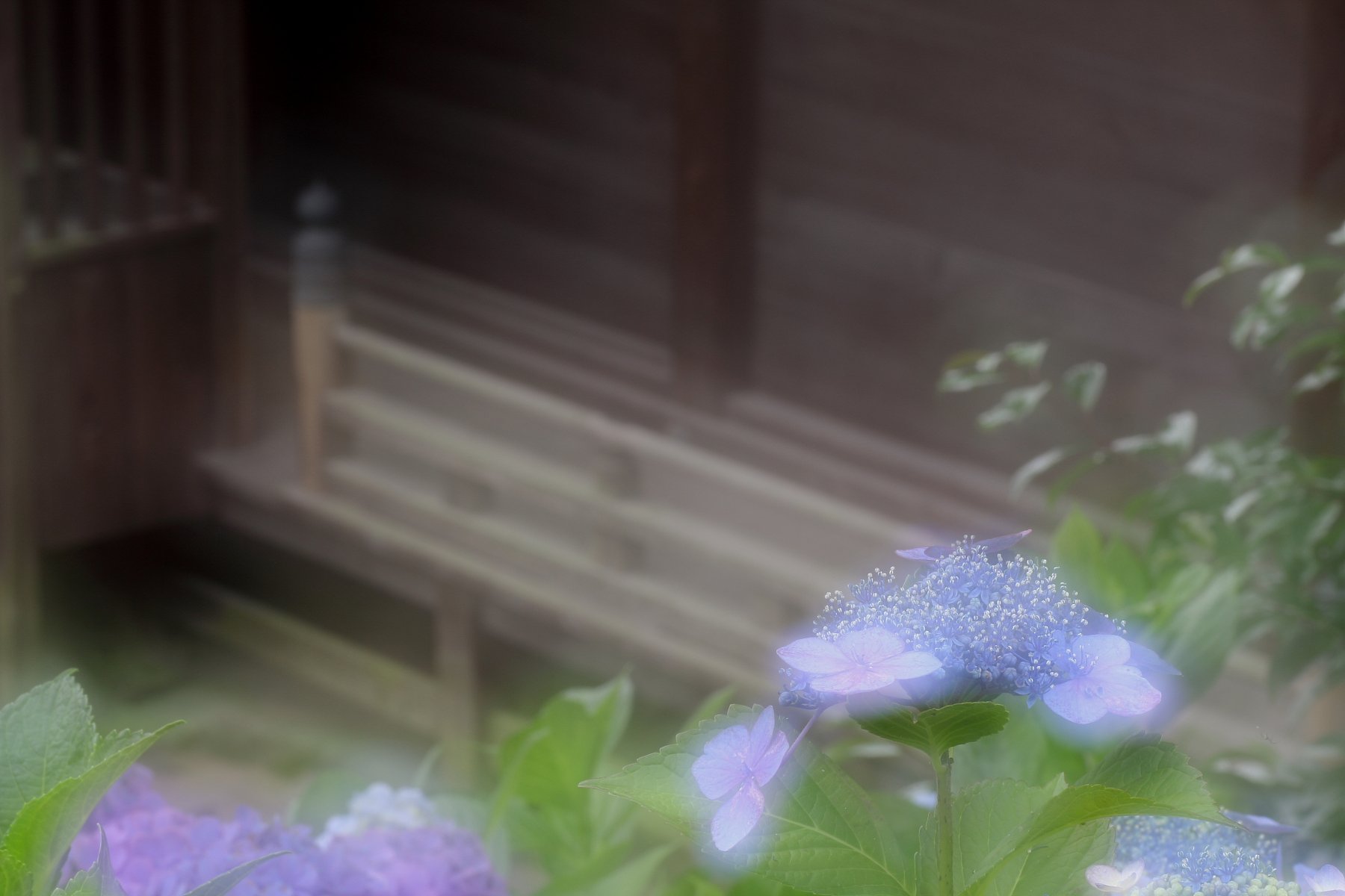 遠い日