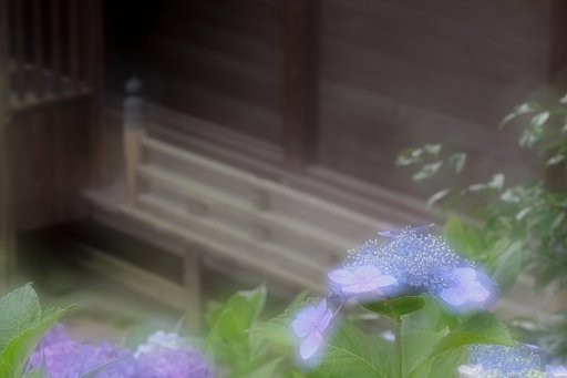 遠い日