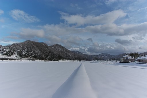 午後は快晴の青空に。