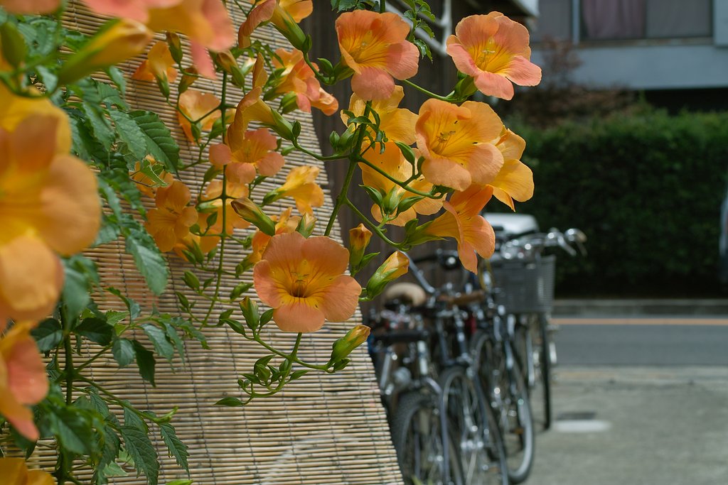 瀬戸の内海　　
