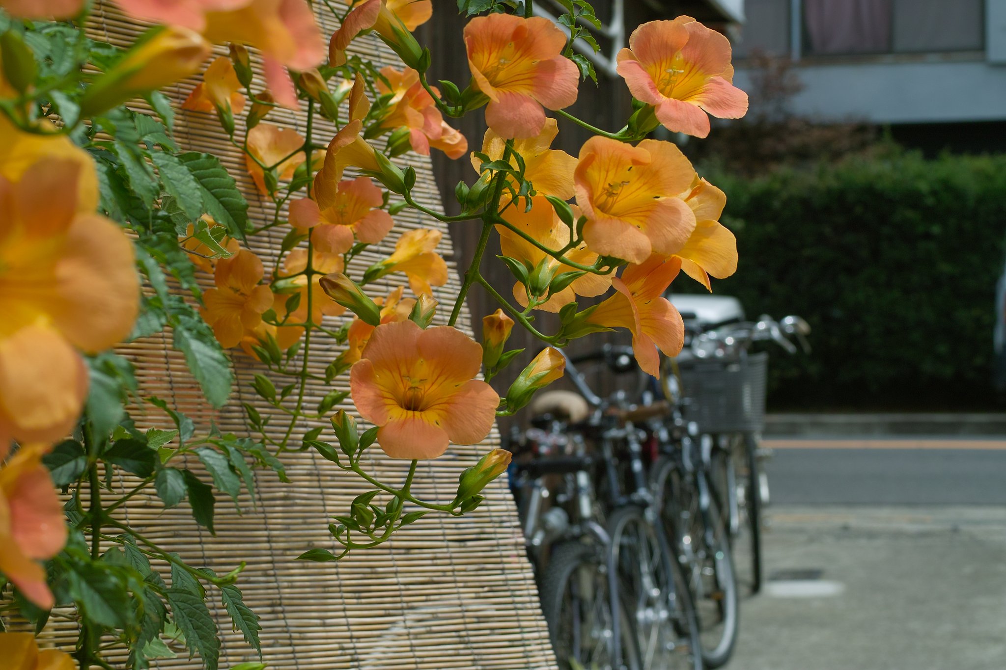 瀬戸の内海　　