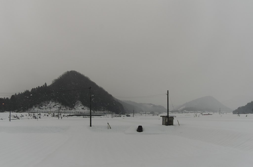今朝は粉雪がチラチラ・・