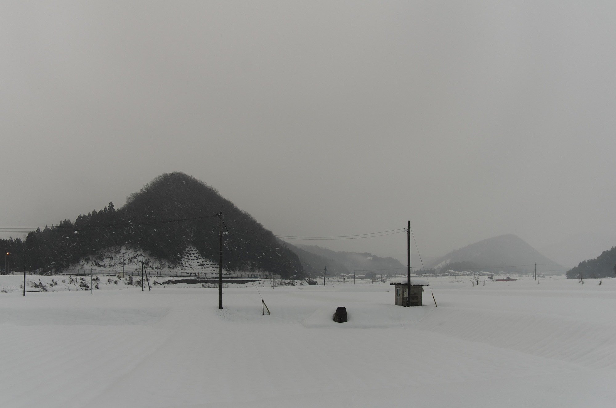 今朝は粉雪がチラチラ・・