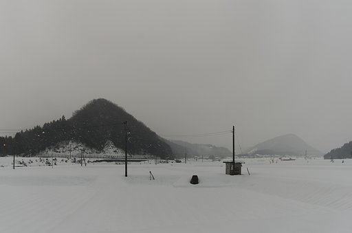 今朝は粉雪がチラチラ・・