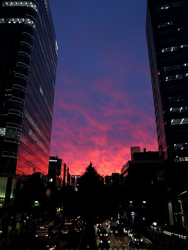 【空】ビルを彩る夕焼け