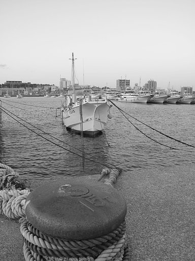 茅ケ崎漁港