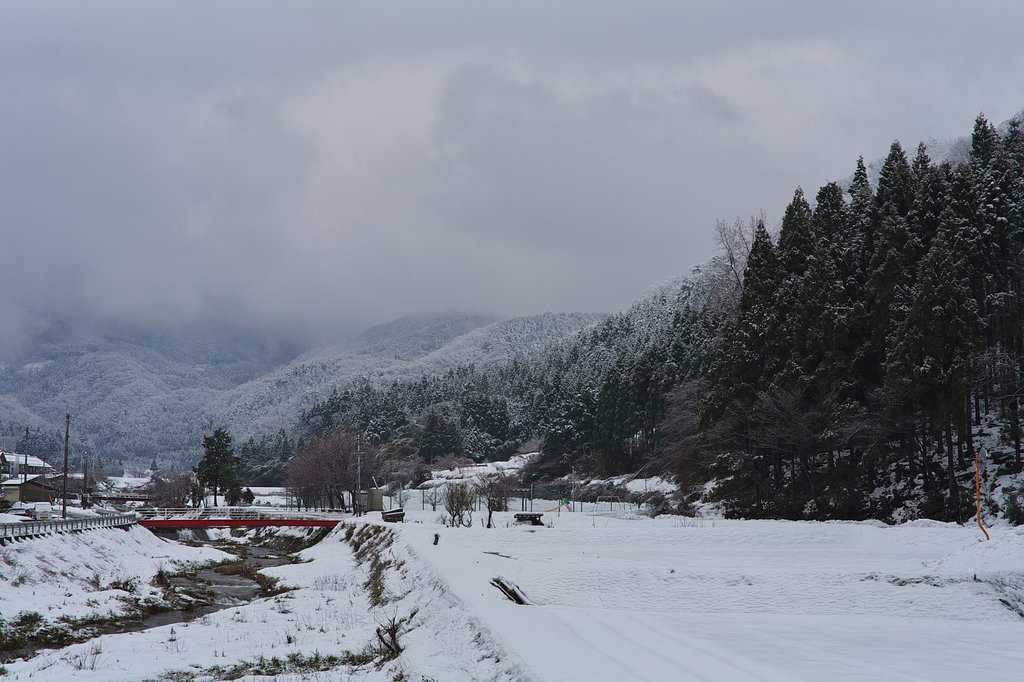 少しだけ雪が・・
