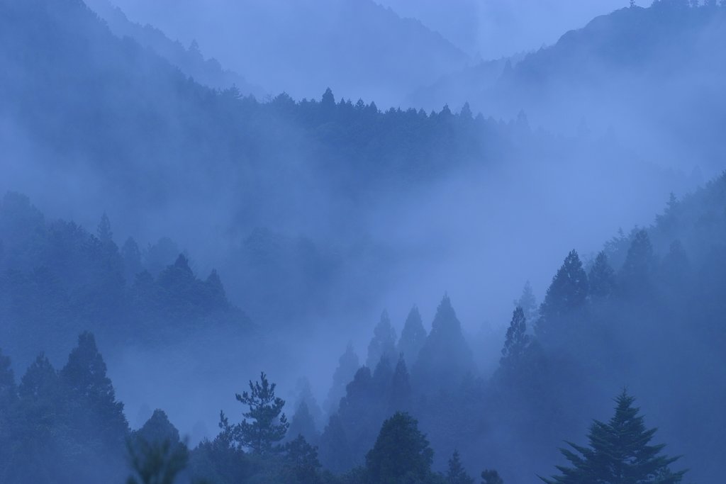 雨に煙る・・