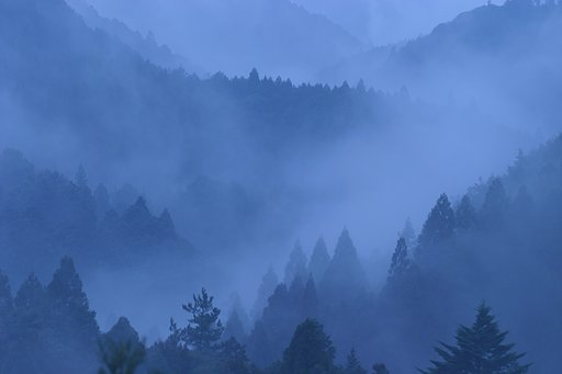 雨に煙る・・